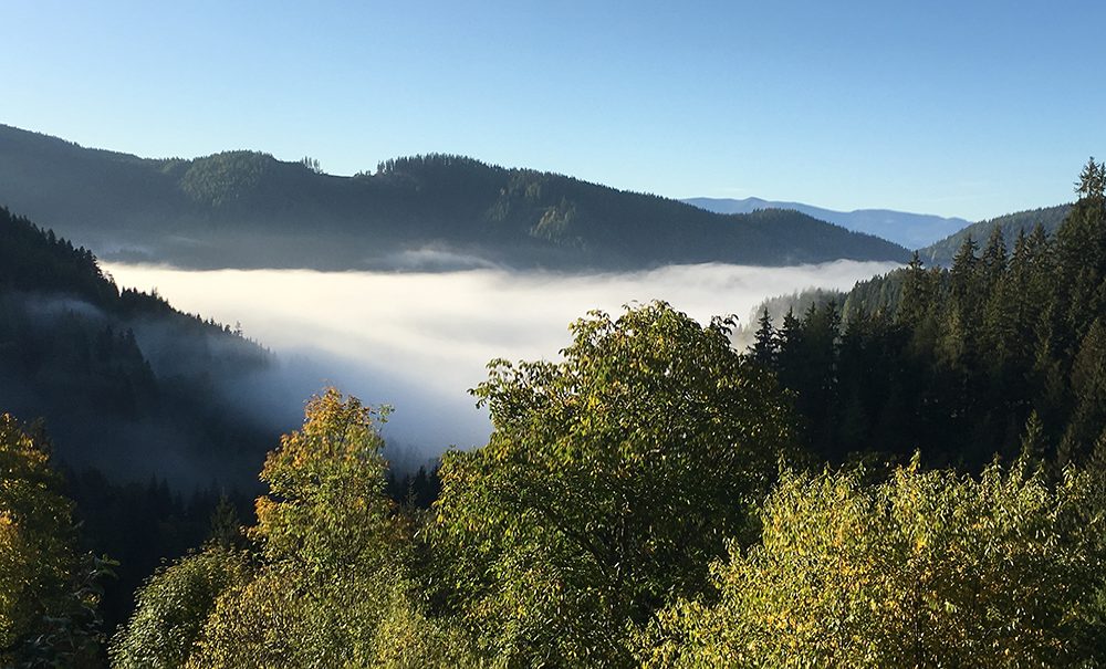 wunderschöne aussicht für die bienen