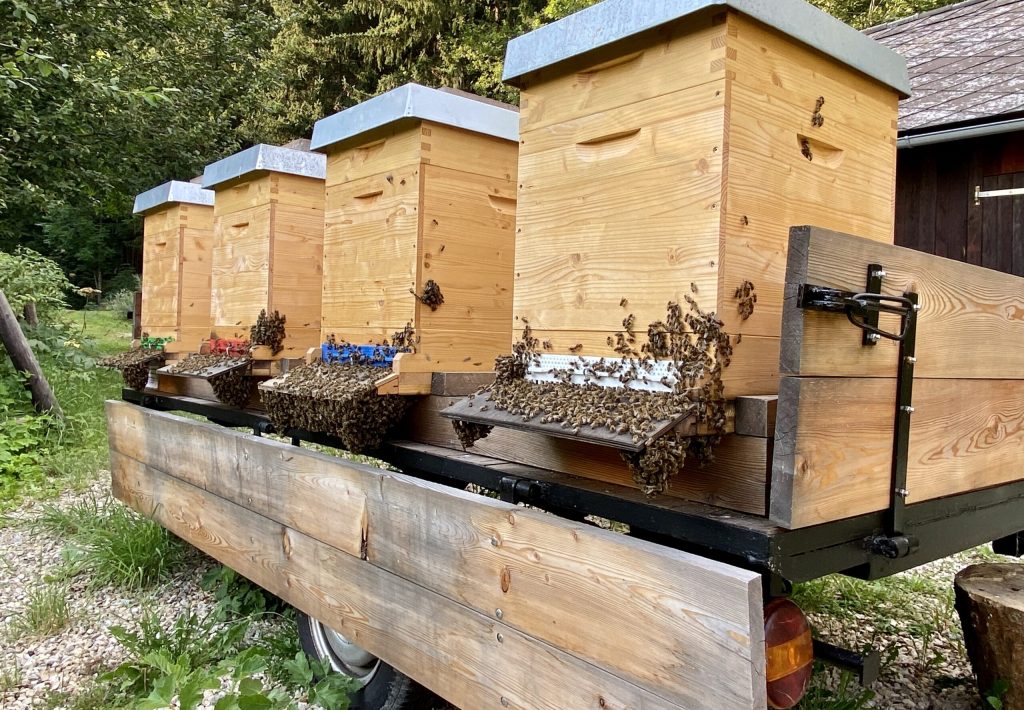 Bienenanhaenger 2023